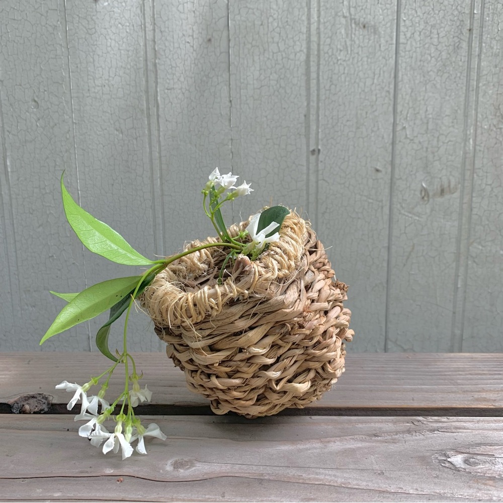 Handmade foraged small basket made by me